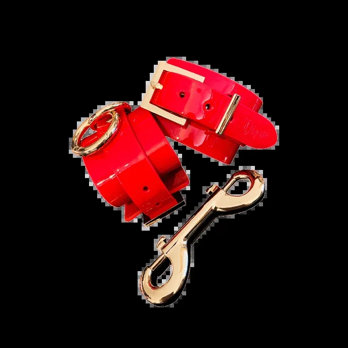 ‚High Gloss Bondage Ankle Cuffs‘