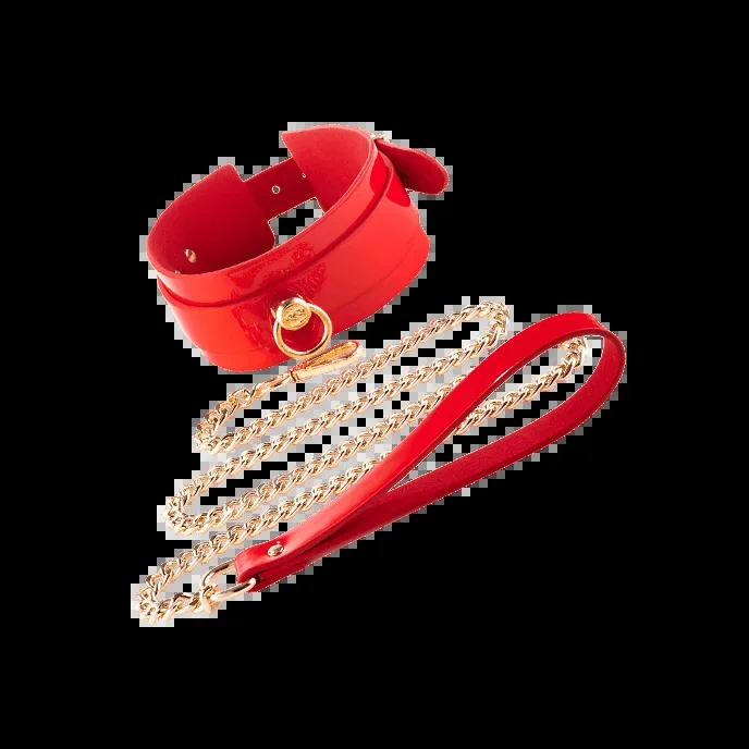 ‚High Gloss Bondage O-Ring Collar & Leash‘