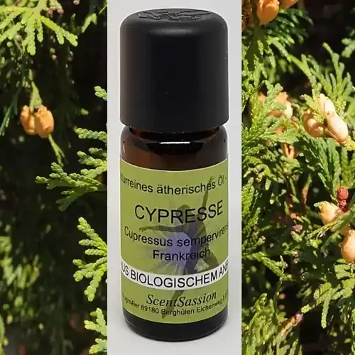Ätherisches Öl ‘Cypresse (Cupressus sempervirens)‘ Bio