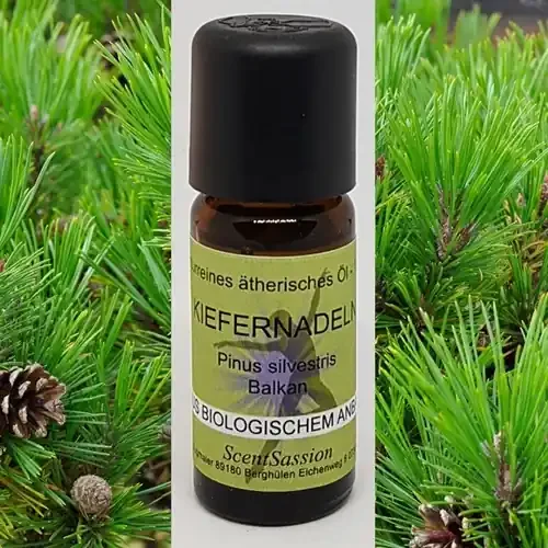 Ätherisches Öl ‘Kiefernadeln (Pinus silvestris)‘ Bio