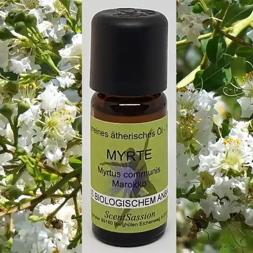 Ätherisches Öl ‘Myrte (Myrtus communis)‘ Bio