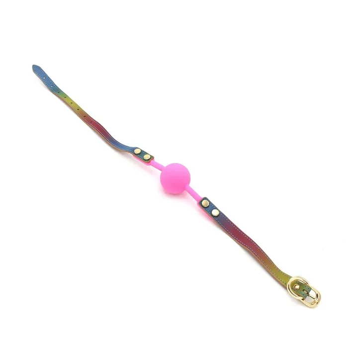 Ballknebel pink und regenbogenfarben
