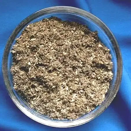 Beifuß (Artemisia vulgaris)