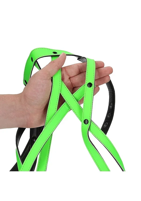 BH-Harness