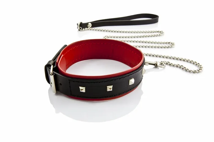 Breites Halsband mit kurzer Leine