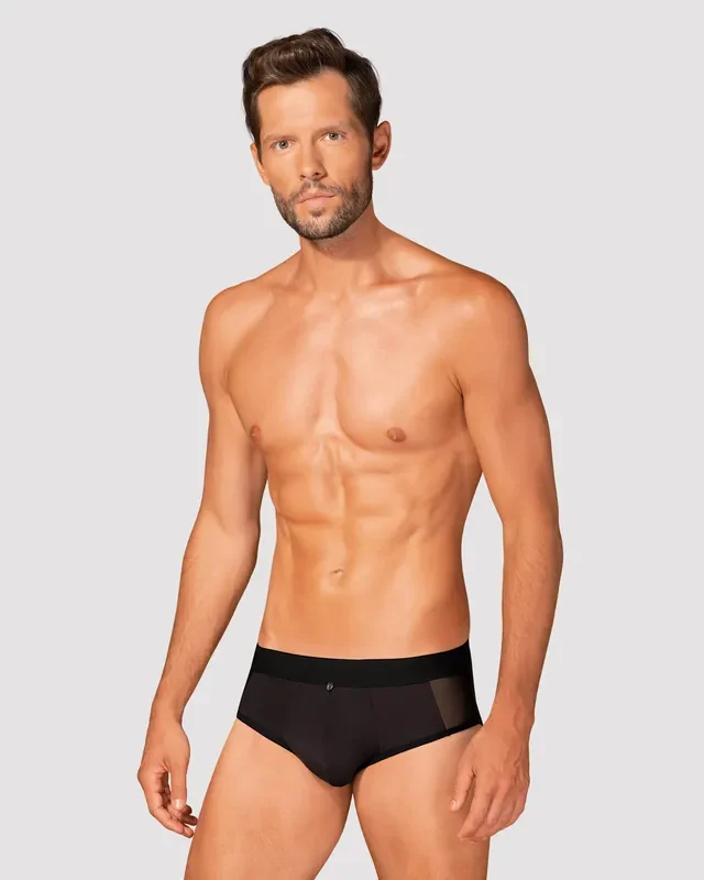 Briefs