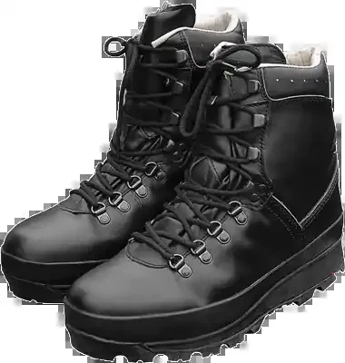 BW Bergstiefel (Schuhgrösse 45)