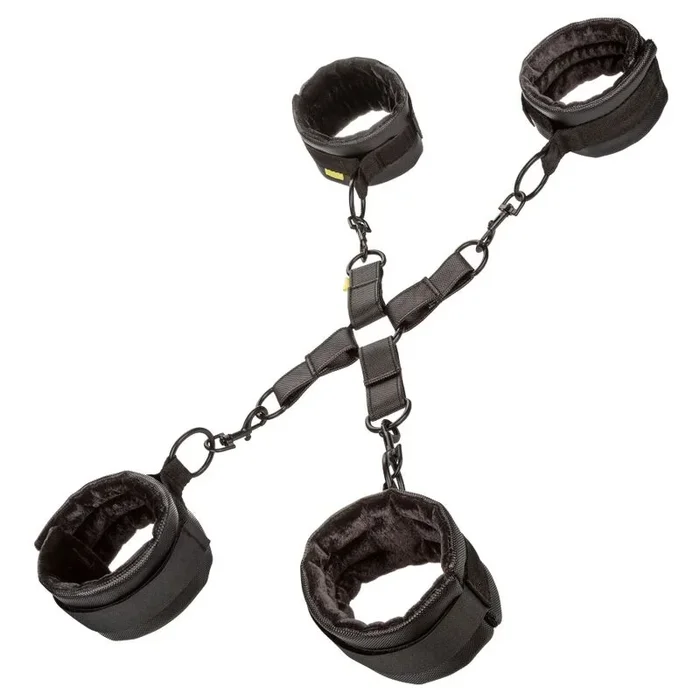 Calexotics – Boundless Hog Tie