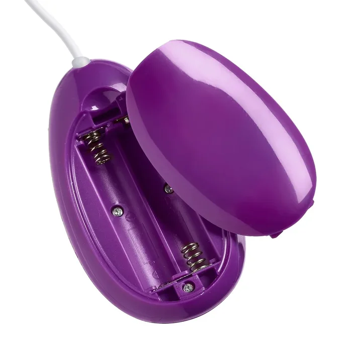 Cloud 9 3 Speed Bullet With Remote – Purple