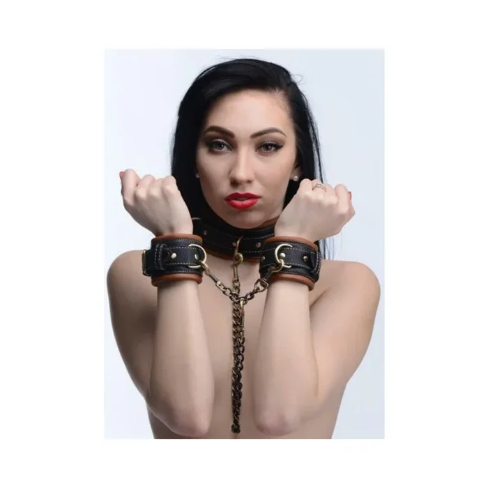 Coax Collar to Wrist Restraints