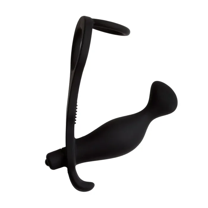 Cock Ring & Ball Ring mit Prostata-Vibrator
