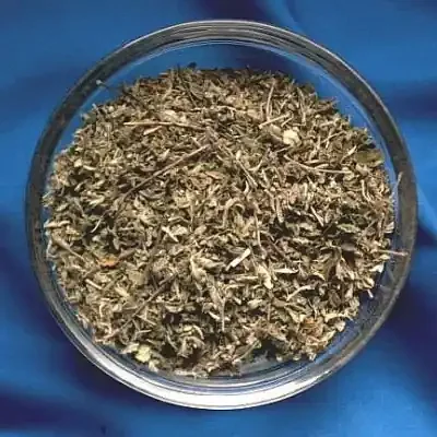 Damiana (Damiane)