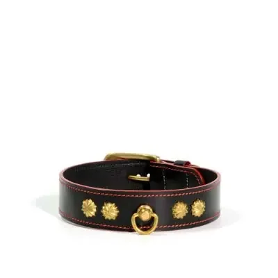 Edles Halsband