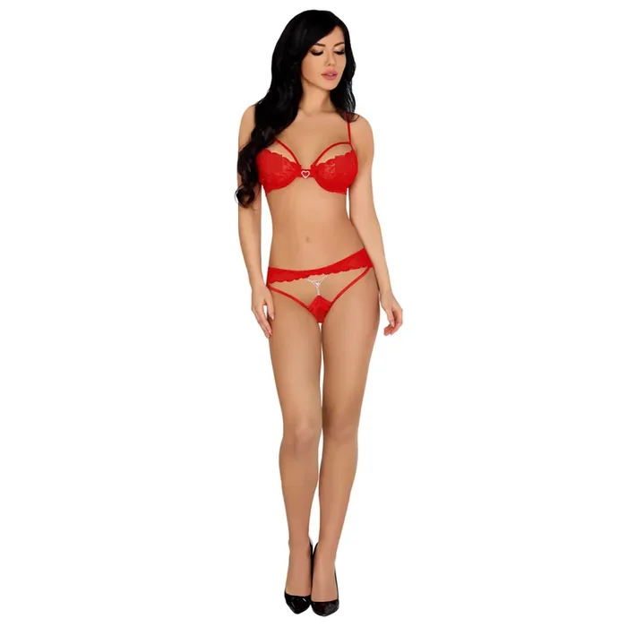 Elegantes BH-Set aus zarter Spitze rot