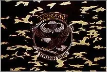 Flagge ‘U.S. Airborne – tarn‘