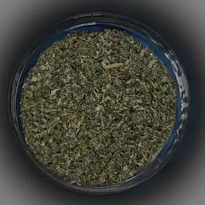 Fünffingerkraut (Potentilla reptans)