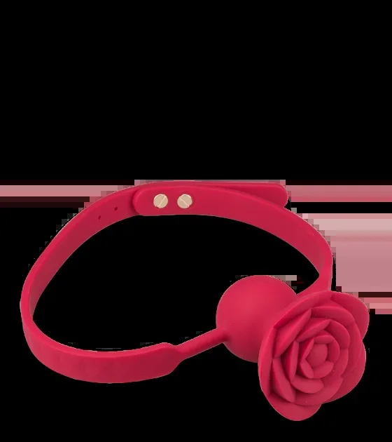 Gagball mit Vibration Rosie