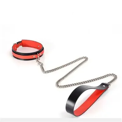 Halsband mit Leine