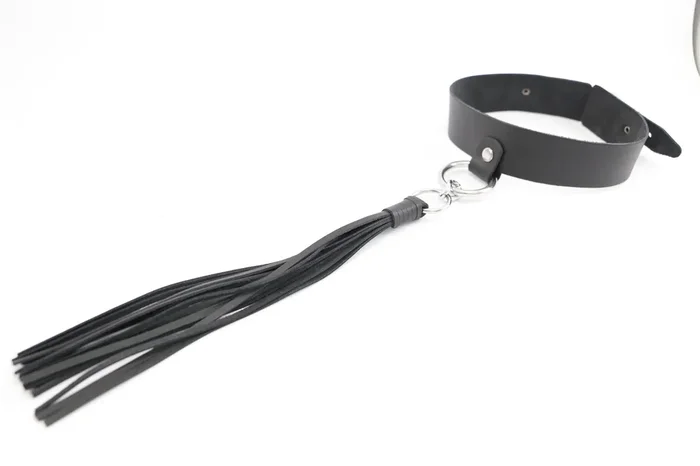 Halsband mit Peitsche abnhembar schwarz