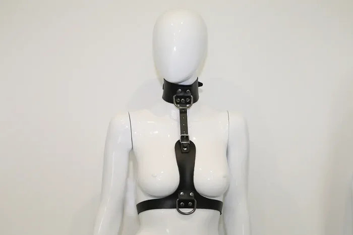 Halsfessel Harness