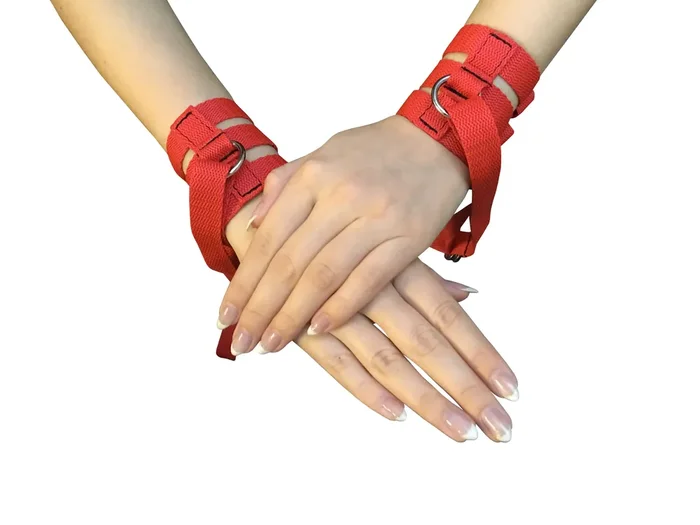 Handfessel rot