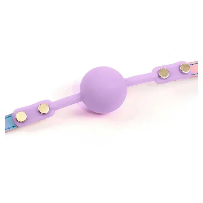 Hello, Sexy! Gag Order Ball Gag-Purple*
