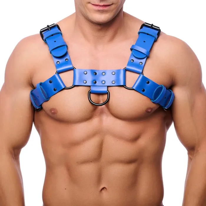 Hundegeschirr Leder – Blau