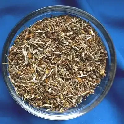 Johanniskraut (Hypericum perforatum)