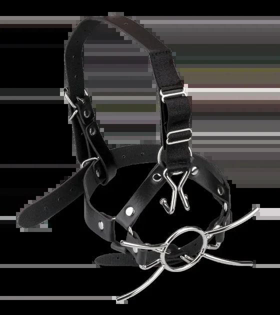 Kopfharness mit Spider Gag und Nasenspreizer