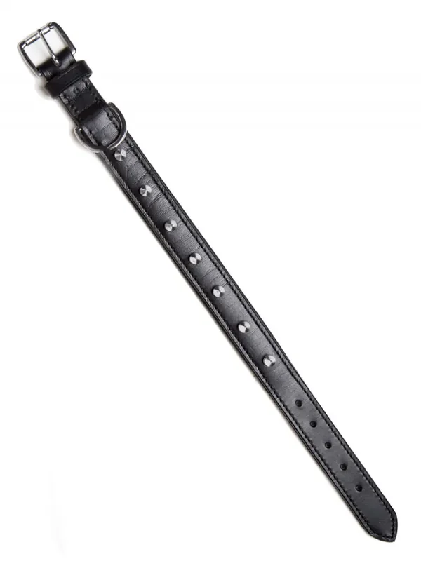 Leder Bondage-Halsband mit Metallknöpfen