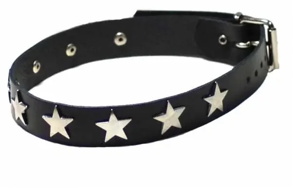 Leder Choker mit Sternnieten