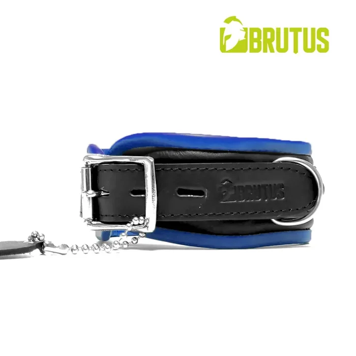 Leder Halsband