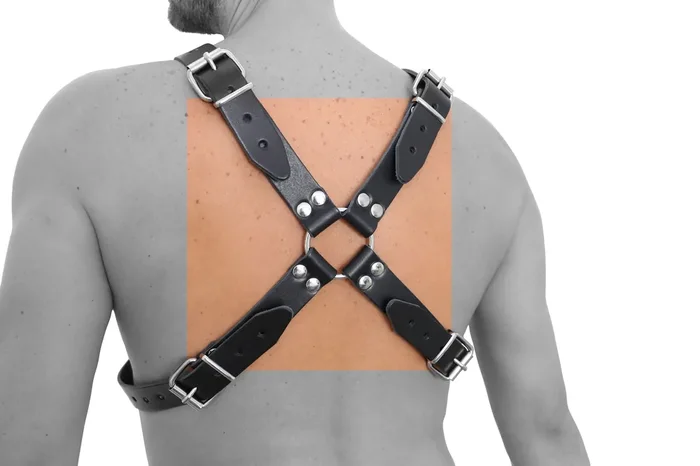 Leder Harness mit Schraubenbesatz