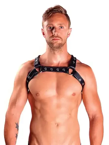 Leder Harness ‘X‘ schwarz