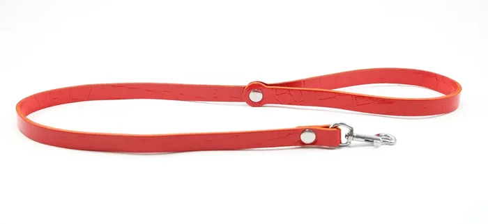 Leder Leine mit Handschlaufe