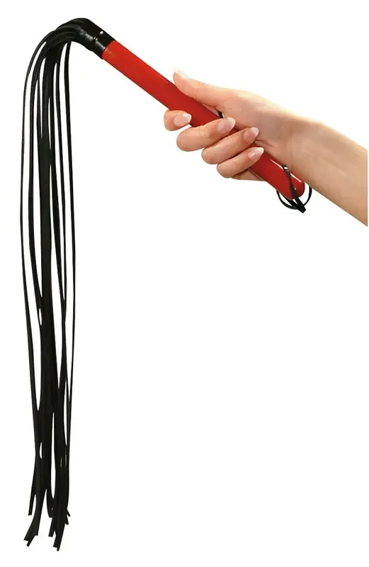Leder-Peitsche