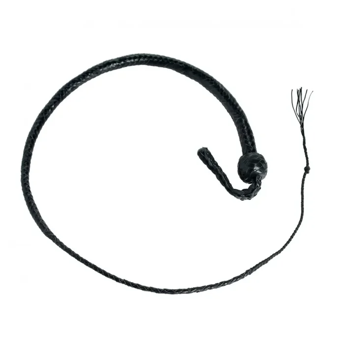 Leder Peitsche ‘Snakewhip‘