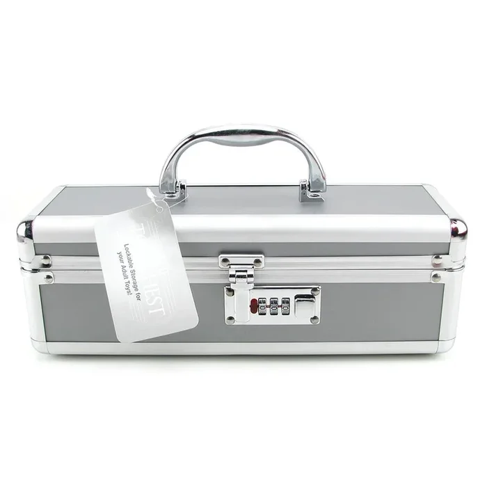 Lockable Small Vibrator Case in Gray