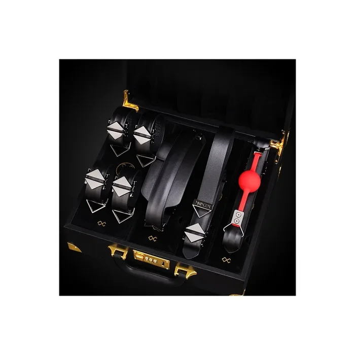Moonlight Treasure Chest Aufbewahrungskoffer – Schwarzes Echtleder