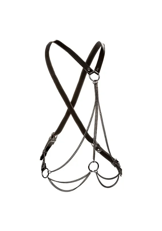 Multikettenharness
