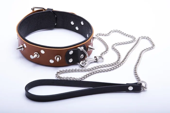 Nietenhalsband ‘Cognac‘ mit Leine