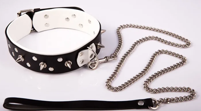 Nietenhalsband mit Leine