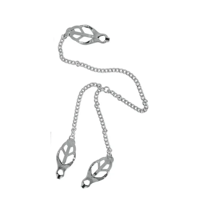 Nippel & Clit Clamps mit Kette