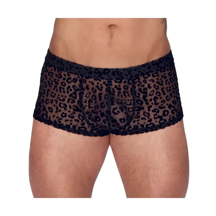 Noir – Pants im „Leo-Look“ – Schwarz – Größe – 2XL