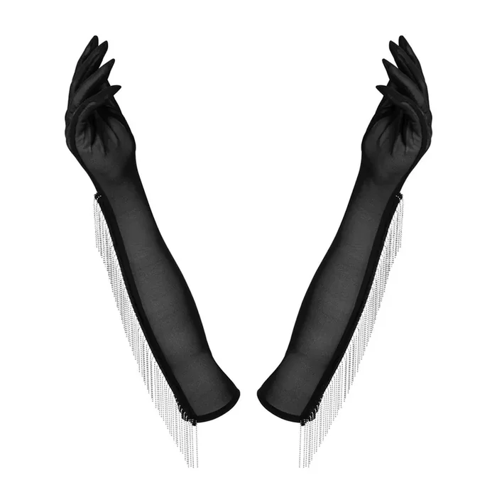 OBS Handschu