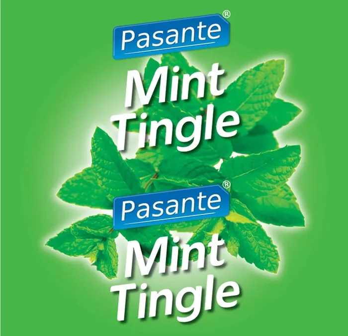 Pasante Mint Flavour Kondome 144 Stück