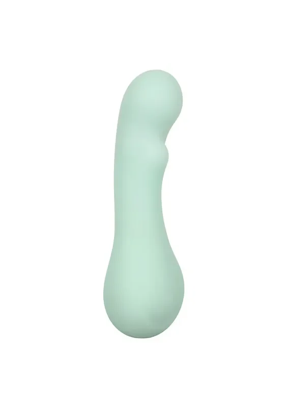 Pazifischer Vibrator