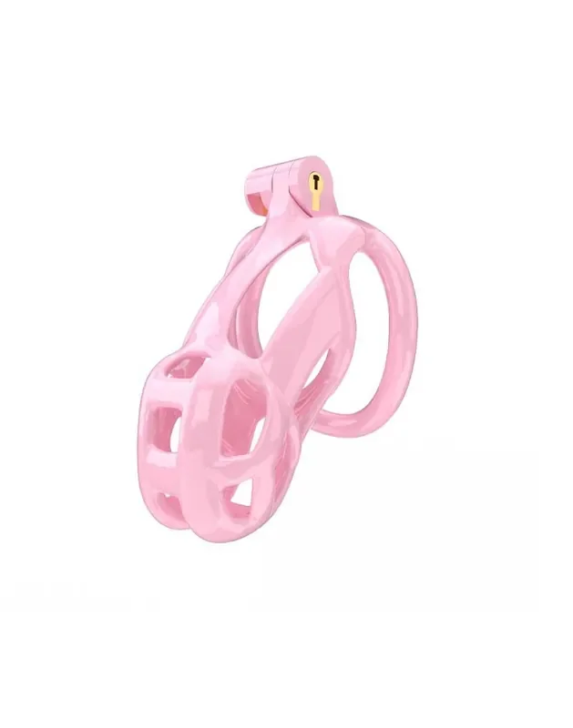 Penis Cage