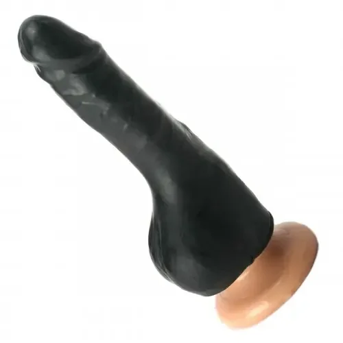 Penis Hülle