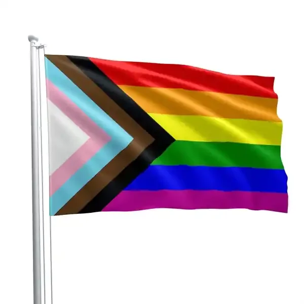 Progress Pride Flagge